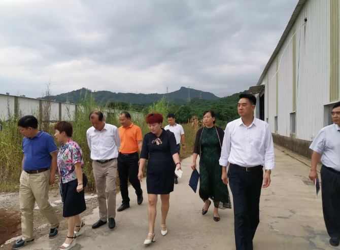 5ddcd32e36656.png 5ddcd32e36656.png