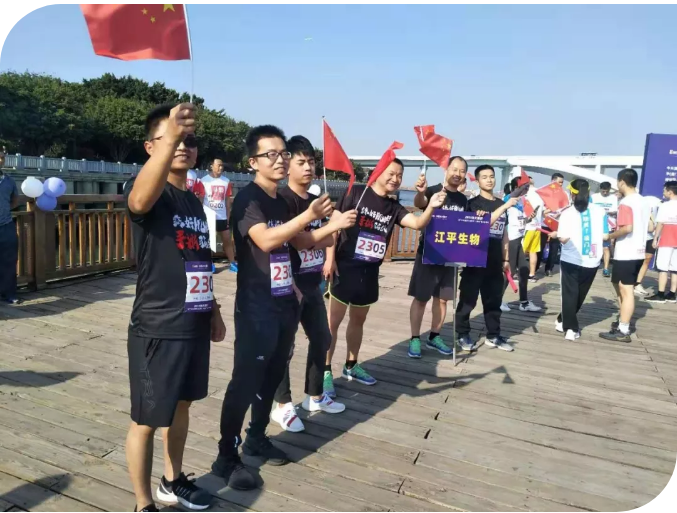 5ddce14f12052.png image.png