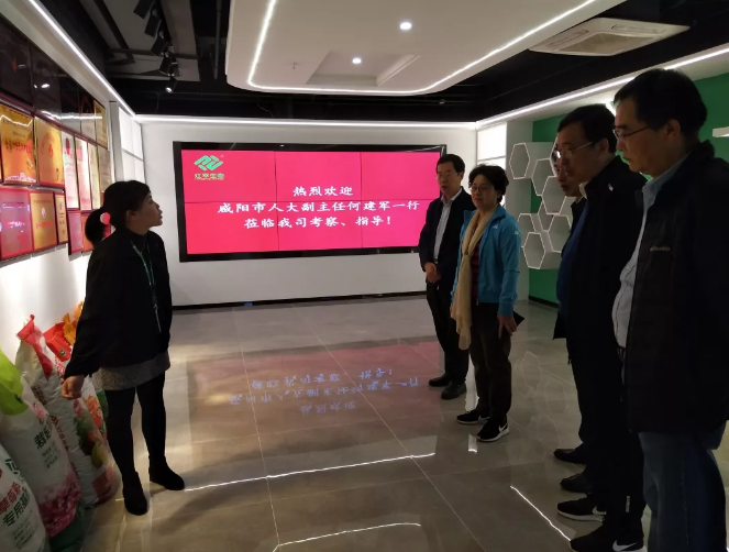 5e002165e081e.png image.png