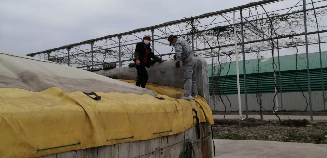 5e5377ad5a4b4.png image.png