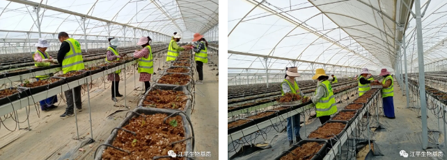 5eb25eae9fd37.png image.png