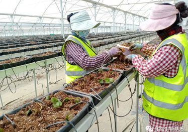 5eb25eb8745d6.png image.png