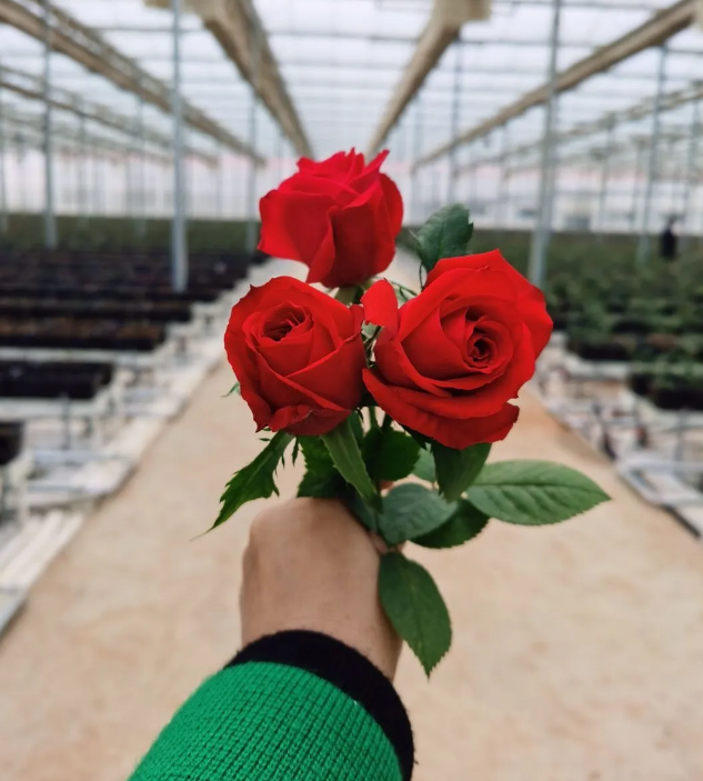 5eb25f3a46834.png image.png