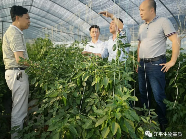 5ec1fc8470e1b.png image.png