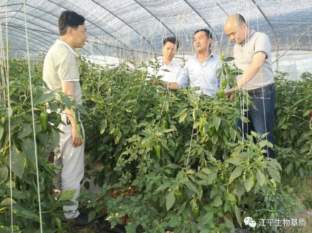 5ec1fc8fbf2cb.png image.png