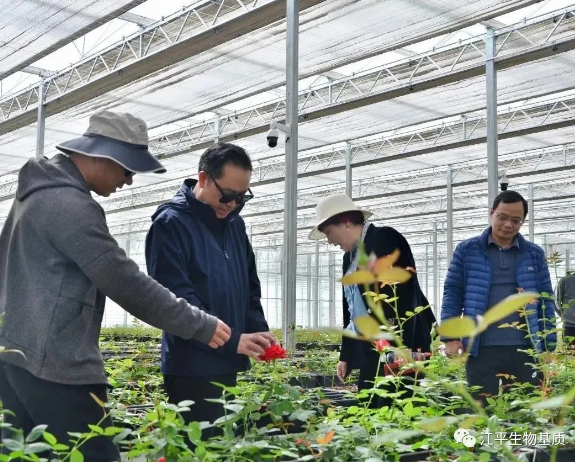 5ecdbbf1ad443.png image.png