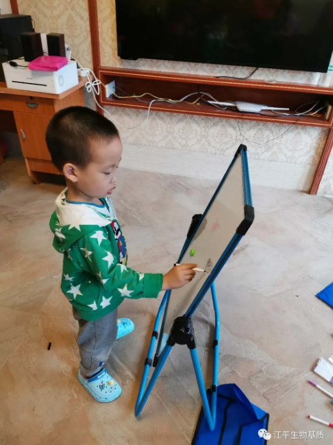 5ed49f2b9e5b3.png image.png