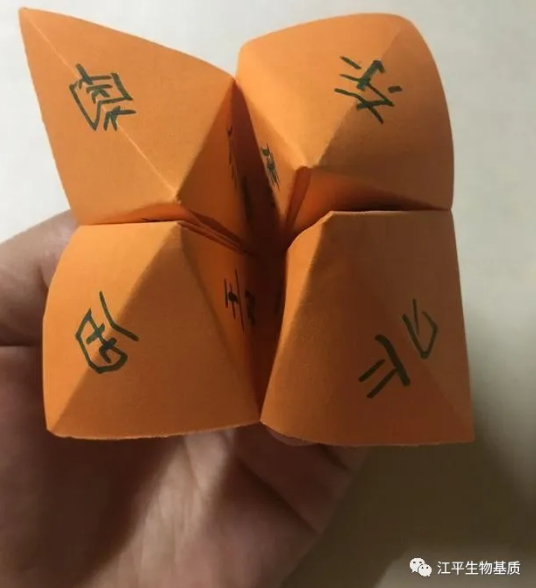 5ed4a036e6fa9.png image.png