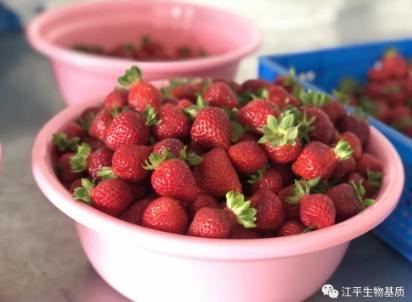 5f0c1a6b0accb.png 圖片.png