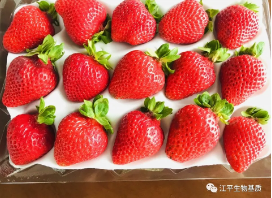 5f0c1ad008a7f.png 圖片.png