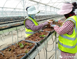 5f0c1bb1ed0f8.png 圖片.png