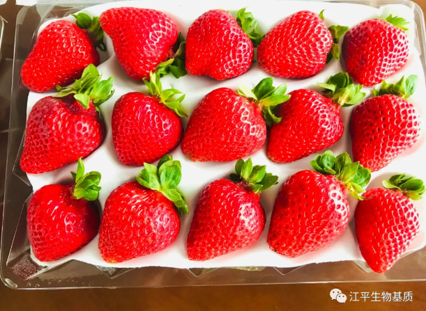 5f6ade9075c30.png 圖片.png