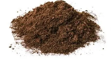 5f92a0e49e294.png 圖片.png