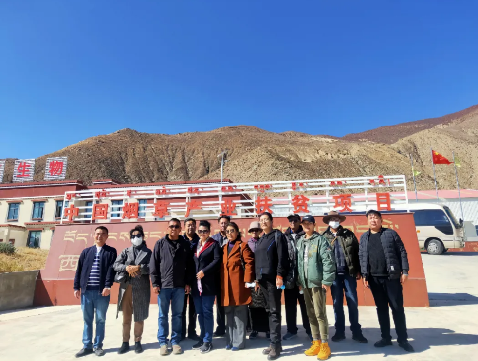 5fab90b7e8cef.png 圖片.png