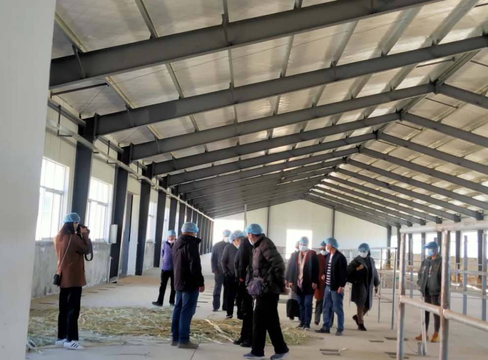 5fab91348d025.png 圖片.png