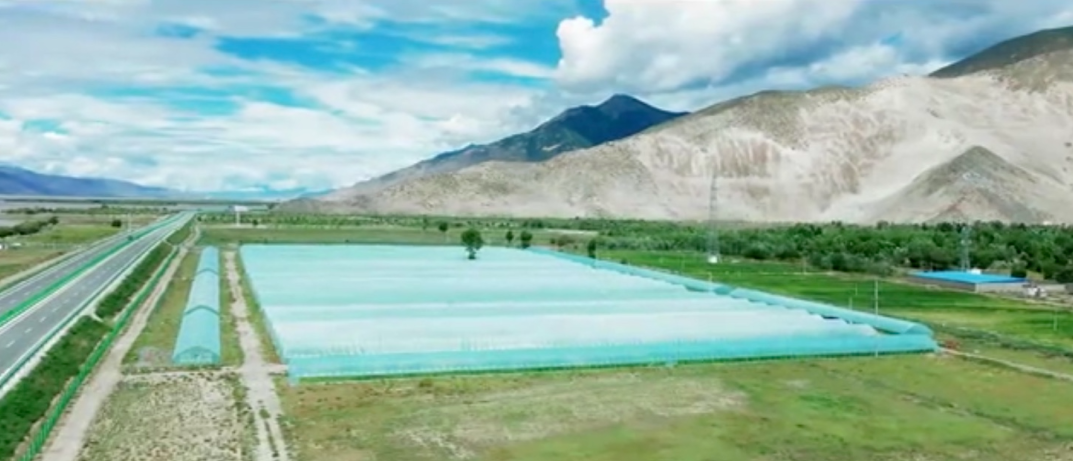 5fad04103cb75.png 圖片.png