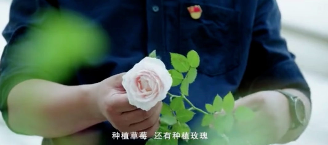 5fad045be4bef.png 圖片.png