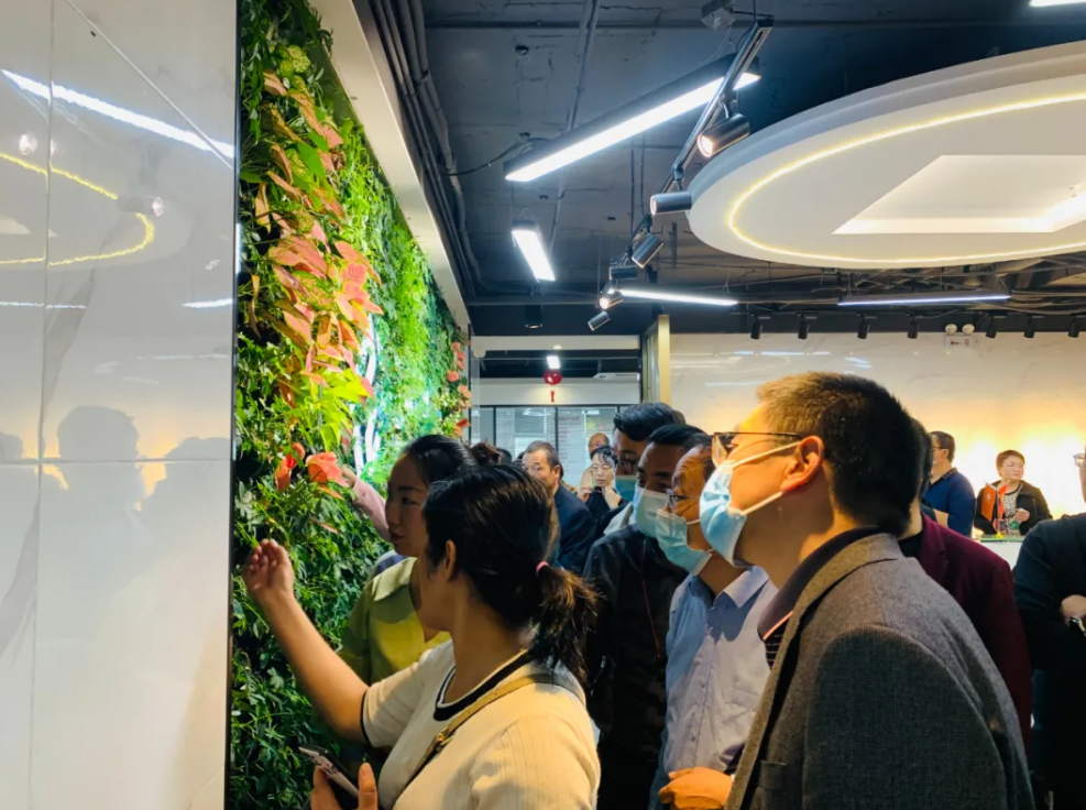 5fb4bdc4e7559.png 5fb4bdc4e7559.png