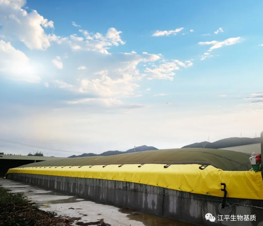 5fb4bf5cb7200.png 圖片.png